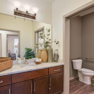 A modern bathroom with a vanity, mirror, and toilet, featuring tasteful decor.