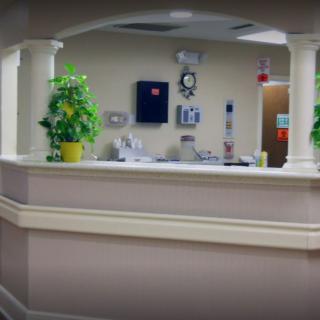 A reception desk area with potted plants and office supplies.