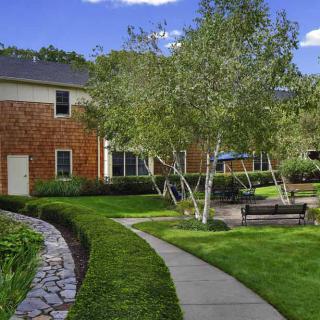A beautiful garden with a pathway leading between trees and a house.