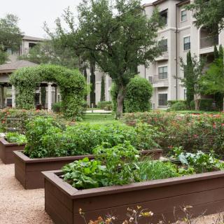 A residential community garden with neatly arranged raised beds full of lush green plants.