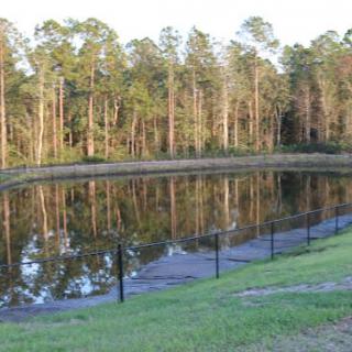 A serene pond surrounded by trees with reflections in the water.
