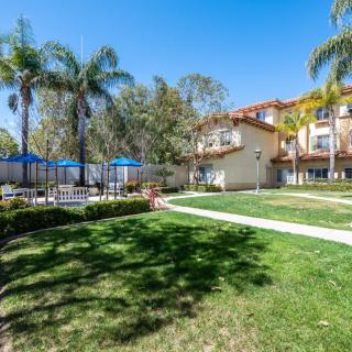 A residential area featuring a swimming pool surrounded by palm trees and well-maintained landscaping.