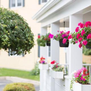 A porch adorned with vibrant pink flowers in hanging baskets.