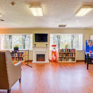 A cozy living room with bookshelves, a television, and a fireplace, illuminated by natural light.