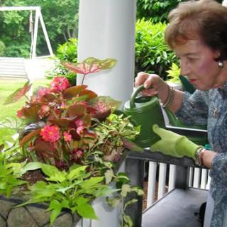 A person waters a vibrant collection of potted plants on a porch.