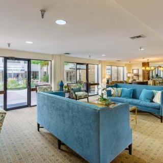A modern living room with stylish blue sofas and ample natural lighting.