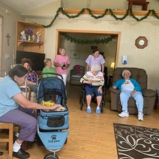 A group of elderly individuals gathered in a cozy room, some seated and others standing, with decorations in the background.