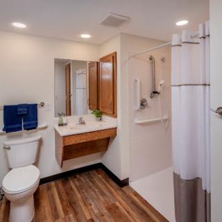 A modern, well-lit bathroom featuring a toilet, sink, and shower area with wooden flooring.