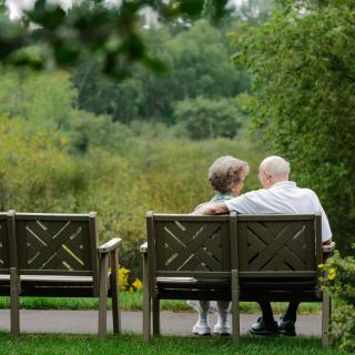 An elderly couple sitting together on a park bench, enjoying the natural surroundings.