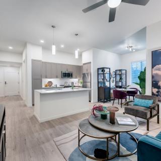 A modern apartment featuring an open floor plan with a stylish living room and kitchen.