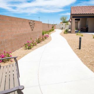 A backyard pathway lined with flowers and a brick wall on a sunny day.