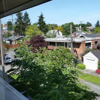 A suburban neighborhood with houses and lush greenery during the day.