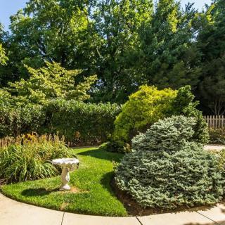 A beautifully landscaped garden featuring lush greenery, a variety of bushes and trees, and a small birdbath.