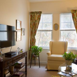 A cozy living room with a comfy chair, TV, and potted plants by the window.