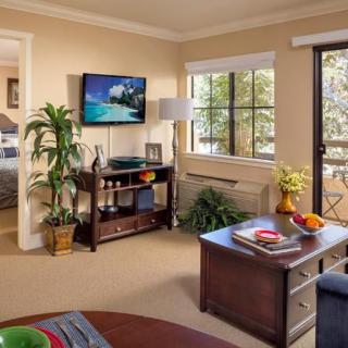 A cozy living room with modern decor, featuring a television, plants, and ample natural light.