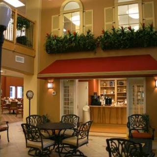 An indoor cafe with seating arrangements, decorative plants, and warm lighting.