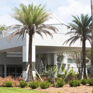 A modern building surrounded by palm trees and landscaped gardens.