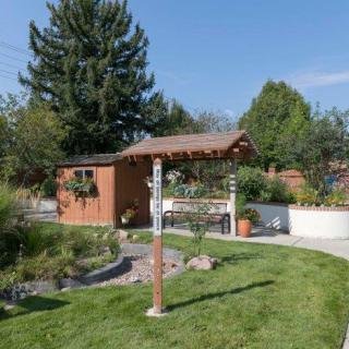 A well-maintained garden with a wooden shed, surrounded by trees and lush greenery.