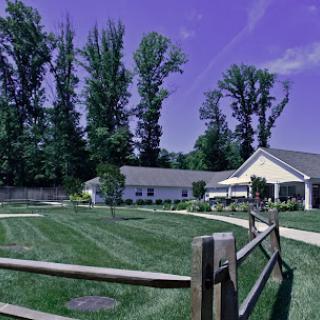 A serene view of a building surrounded by lush greenery and tall trees.