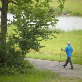 A person walking with a stick on a path surrounded by greenery and a nearby lake.
