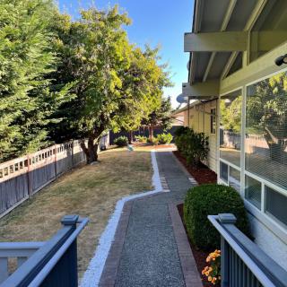 A garden path alongside a house with trees and a fence under a clear blue sky.