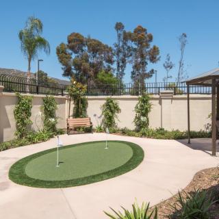 An outdoor putting green in a landscaped garden on a sunny day.