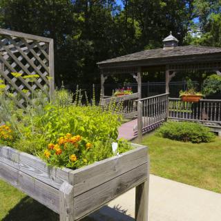 A tranquil garden scene featuring a raised flower bed with vibrant blooms and a wooden gazebo in the background.