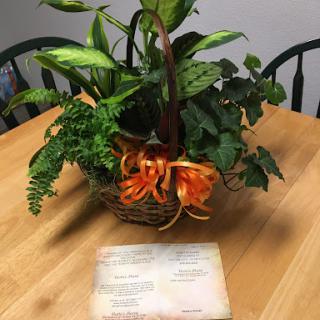 A vibrant arrangement of plants in a basket placed on a wooden table, accompanied by a note.