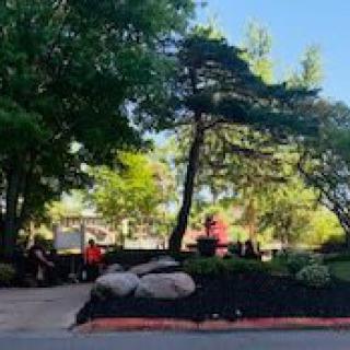 A serene park scene with people enjoying the outdoors among lush trees.