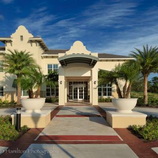 The entrance of a beautifully landscaped building featuring palm trees and architectural details.