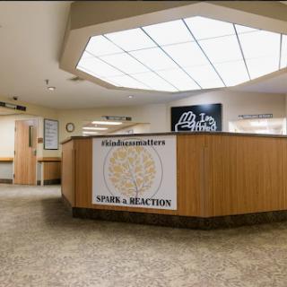 A spacious reception area with a wooden front desk, illuminated by natural light.