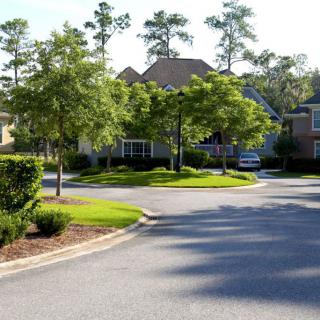 A quiet suburban neighborhood with houses surrounded by trees and well-kept lawns.