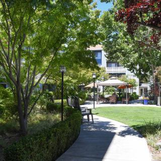 A peaceful park scene with a pathway, benches, and lush greenery under the sunlight.