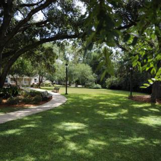 A peaceful park with a winding pathway and abundant greenery.