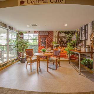 A cozy cafe interior with tables, chairs, and lush green plants.