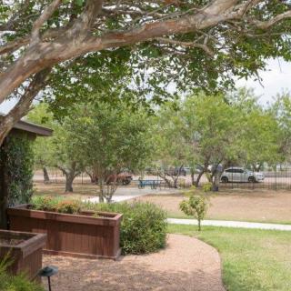 A tranquil outdoor scene featuring a yard with lush greenery and trees.
