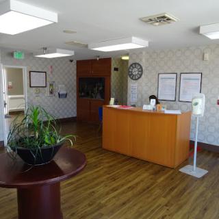 A well-lit reception area featuring wooden furniture and decorative plants.