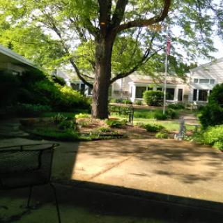 A serene garden view featuring lush greenery and a gentle pathway.