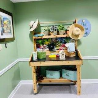 A cozy indoor gardening setup with a wooden table, potted plants, and decorative hats against green walls.