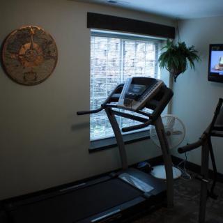 A small home gym with a treadmill, television, and a potted plant by the window.