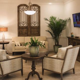 A cozy living room with stylish furniture and decorative plants.