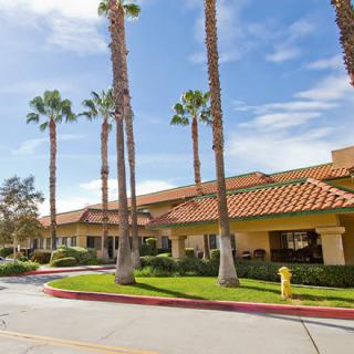 A hotel building with palm trees lining the entrance under a clear sky.