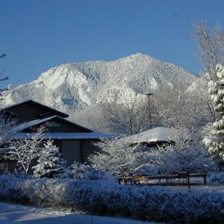 Snow-covered houses and trees with a mountain backdrop.