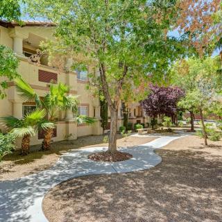 A sunny day at an apartment complex with a tree-lined pathway.