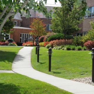 A well-maintained garden pathway leading to a building, surrounded by vibrant greenery and colorful flowers.
