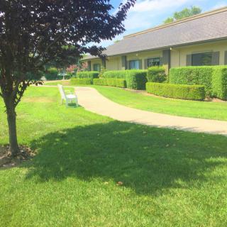 Sunny day at a landscaped garden with a winding pathway and well-maintained hedges.