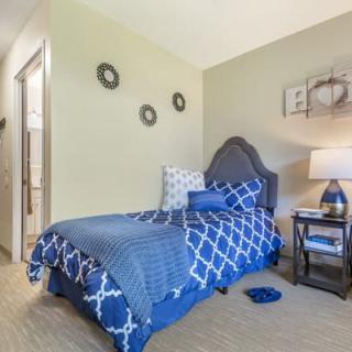 A cozy bedroom featuring a single bed with blue patterned bedding and decorative pillows, accompanied by a nightstand with a lamp and wall art.