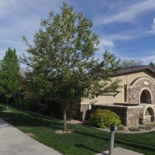 A residential building with a neatly landscaped lawn and sidewalk, featuring a prominent tree in the foreground.