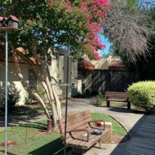A sunny garden with benches, a tree in bloom, and a paved pathway.