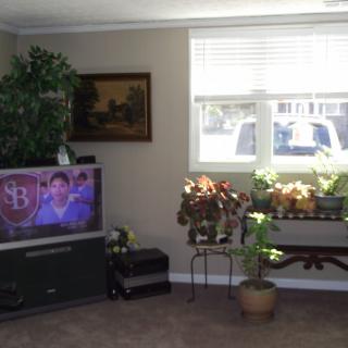 A cozy living room featuring a television, indoor plants, and natural light streaming through the window.